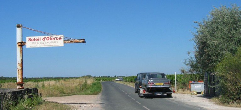 Bildergalerie